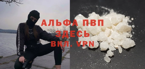 мдпв Богданович