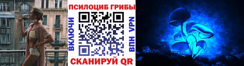 Псилоцибиновые грибы мицелий Макушино