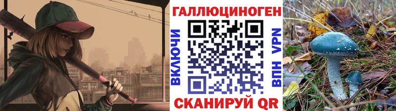 Купить  Макушино  Галлюциногенные грибы Cubensis 